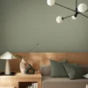 Graham & Brown matte muurverf Sage - afneembaar Graham & Brown Sage Matte muurverf afneembaar 4L