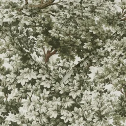 Graham & Brown - Vliesbehang Coppice Sage - 10mx52cm
