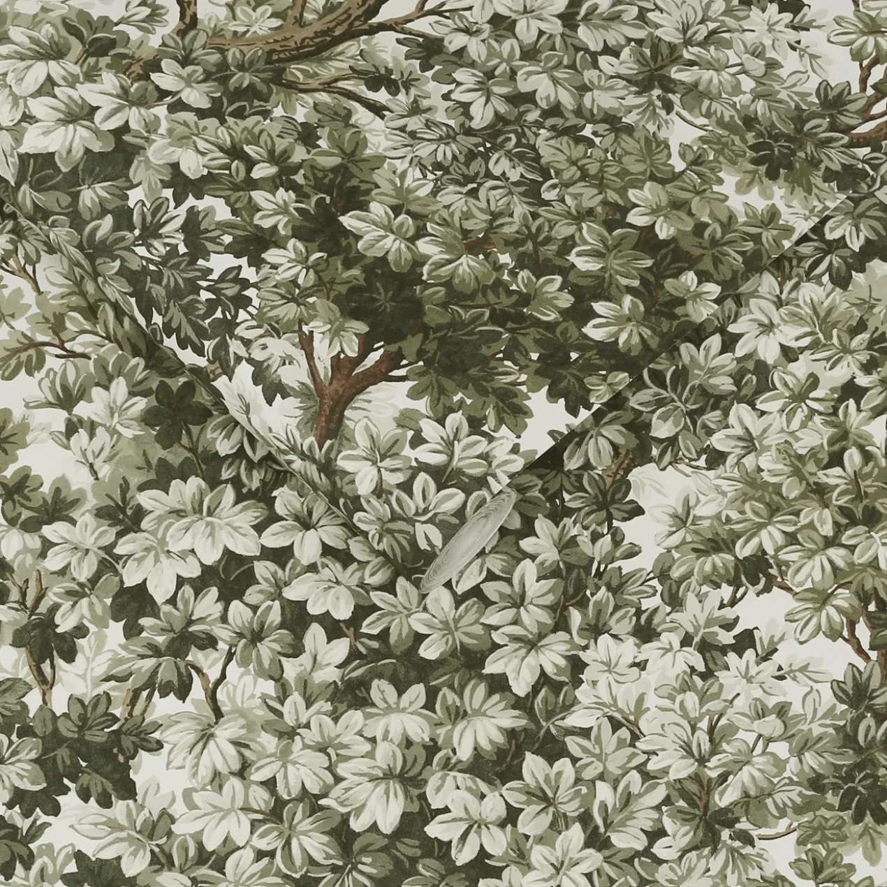 Graham & Brown - Vliesbehang Coppice Sage - 10mx52cm