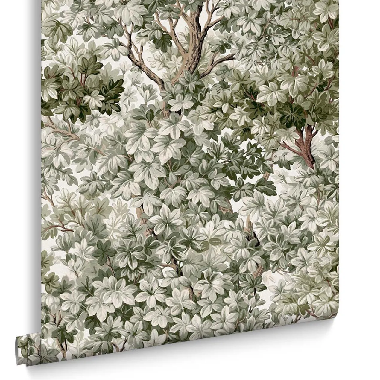 Graham & Brown - Vliesbehang Coppice Sage - 10mx52cm