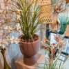 Grass foxtail 115 cm
