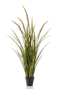 Grass foxtail 115 cm