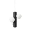 Hanglamp Kaktee zwart