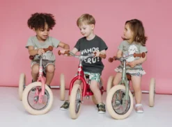 2-in-1-loopfiets Trybike set pink