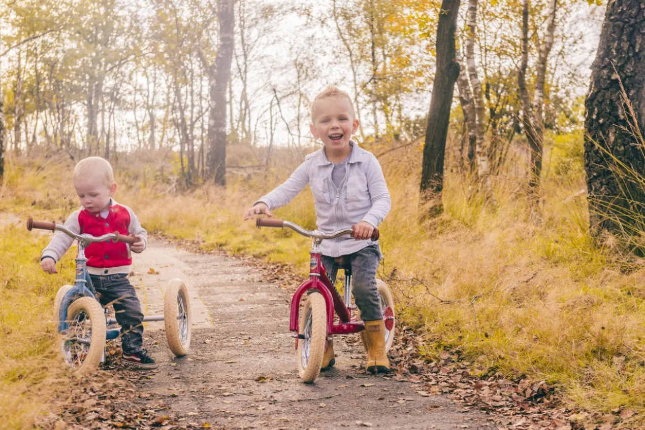 2-in-1-loopfiets Trybike set rood