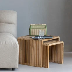 Jasmijn bijzettafel recycled teak naturel - set van 2