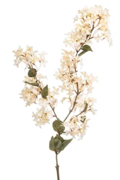 Jasmine branch cream