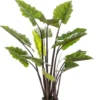 Kunstplant Colocasia