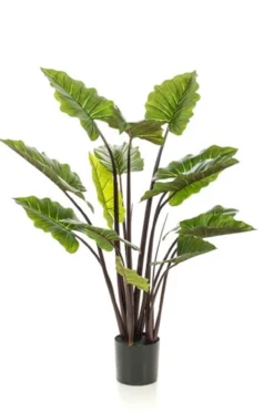Kunstplant Colocasia