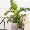 Kunstplant Graig gras H89 cm