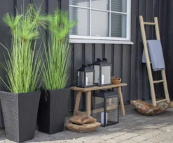 Ladder Thea teakhout Bruin