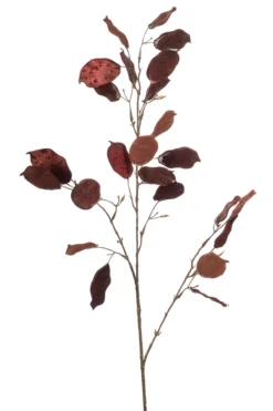 Lunaria glamour