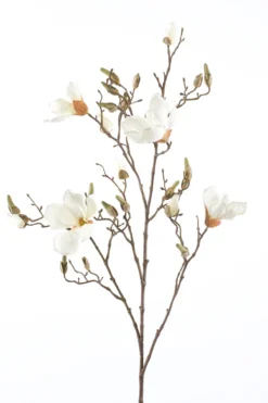 Magnolia branch cream 105 cm