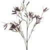 Maple seed burgundy