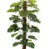 Monstera on pole