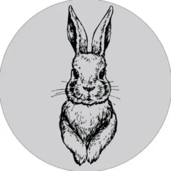 Muurcirkel kids rabbit grijs