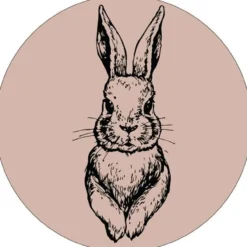 Muurcirkel kids rabbit roze