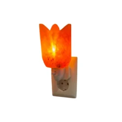 Nachtlamp Tulp zoutsteen