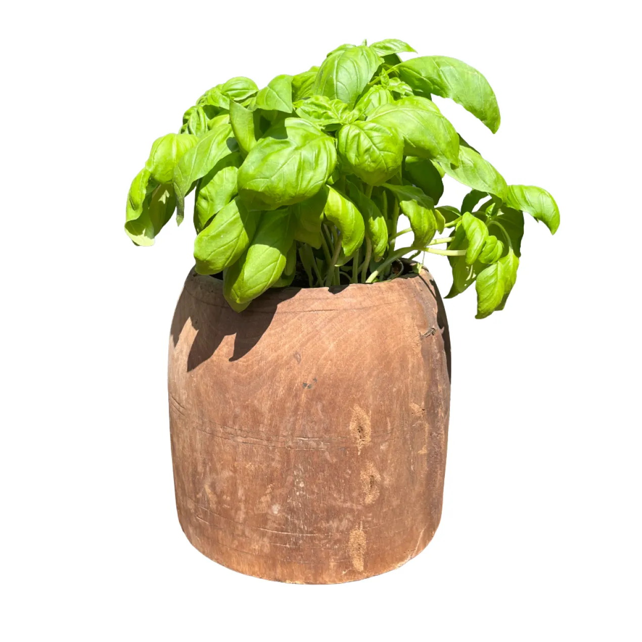 Oude pot hout 20x18 cm