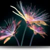 Paarse bloemen op zwart – Acrylglas 120 x 80 cm