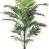 Palm paradise 175 cm