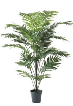 Palm paradise 175 cm