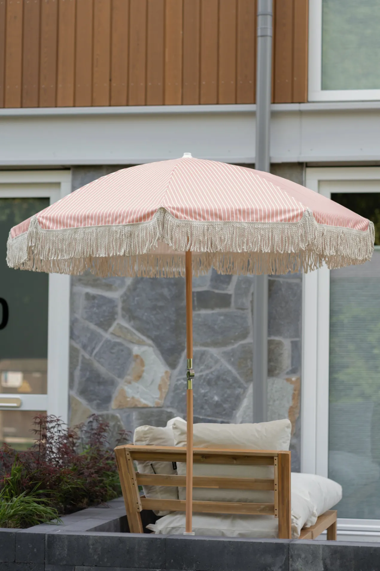 Parasol coral dream