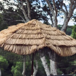 Parasol Serengeti