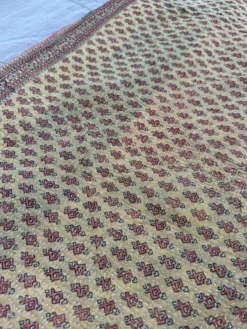 Plaid Udaipur