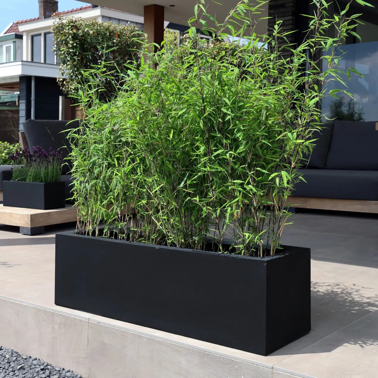 Plantenbak Amazone black L100 x B30 x H30 cm