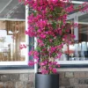 Plantenpot Almstok black Ø50 x H65 cm