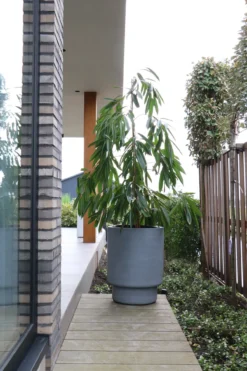 Plantenpot Almstok grey Ø50 x H65 cm