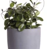 Plantenpot Ducos big grey Ø33 x H35 cm
