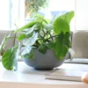 Plantenpot Ducos S grey Ø33 x H15 cm - set van 2
