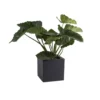 Plantenpot El Salvador black L50 x B50 x H50cm