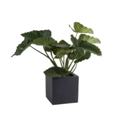 Plantenpot El Salvador black L50 x B50 x H50cm