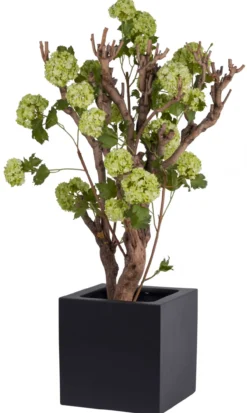 Plantenpot El Salvador black L50 x B50 x H50cm