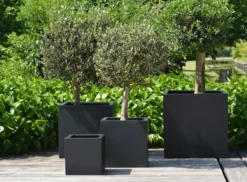 Plantenpot El Salvador black L50 x B50 x H50cm