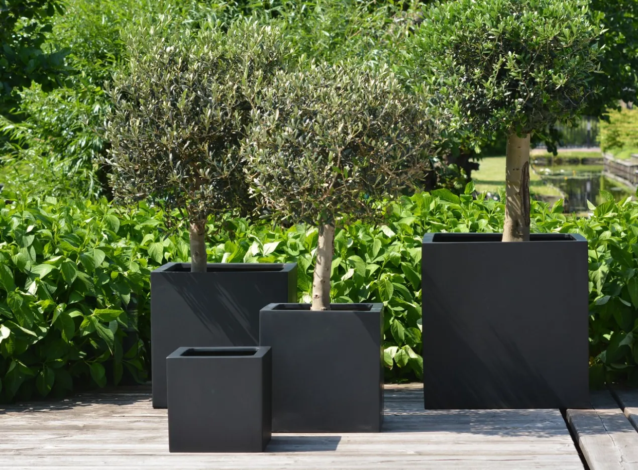 Plantenpot El Salvador black L50 x B50 x H50cm