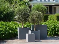 Plantenpot El Salvador grey L50 x B50 x H50 cm