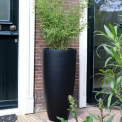 Plantenpot Kentucky L black Ø47 x H100 cm