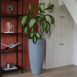 Plantenpot Kentucky S grey Ø36,5 x H80 cm