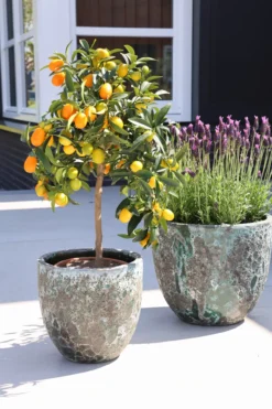Plantenpot Laki relic jade Ø36/25 x H34/25 cm - set 2 stuks