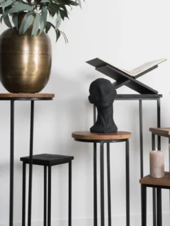 Plantentafels Sam Vierkant - Set van 3 - Zwart Mangohout