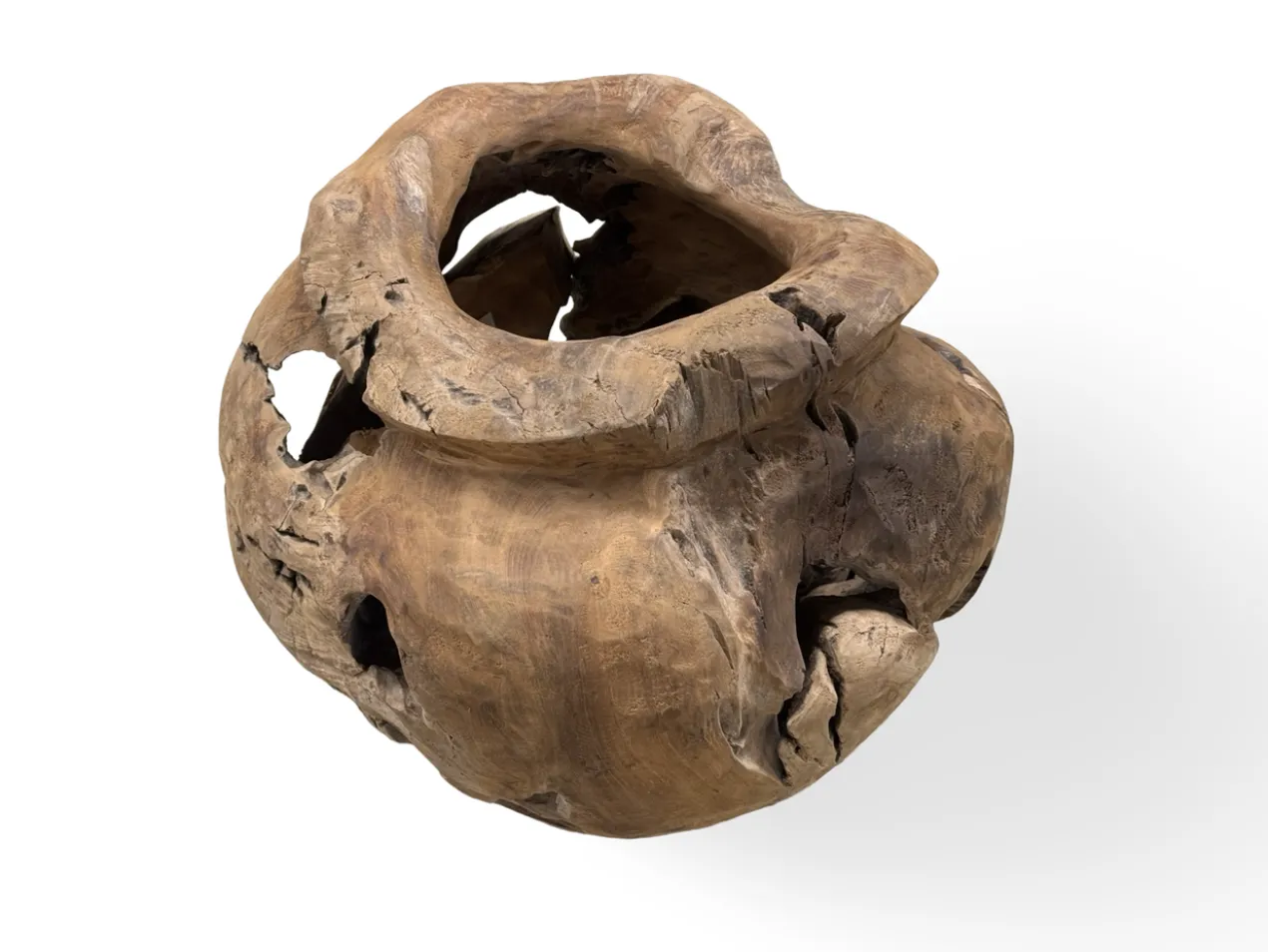 Planter unieke groot