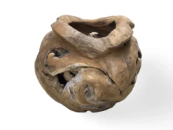 Planter unieke groot