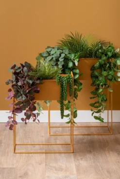 Plant pot set Essence straight iron ochre yellow