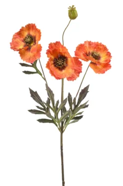 Poppy spray orange