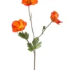 Poppy spray orange