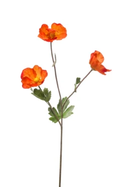 Poppy spray orange